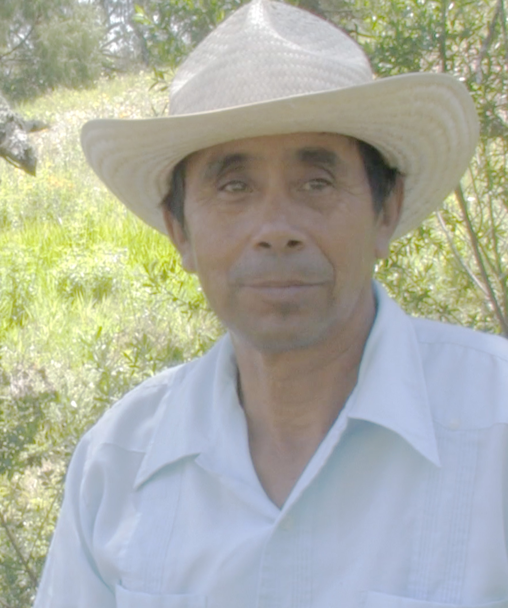 Sones arribeños de Guanajuato con  todos los derechos incluidos